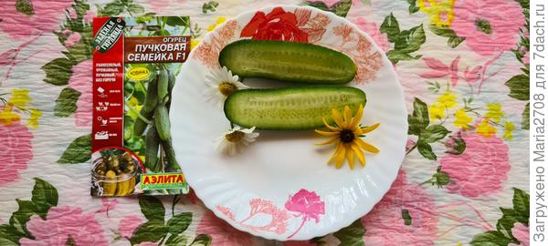 В разрезе