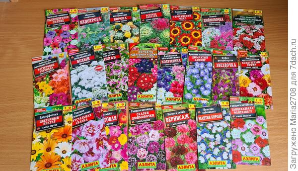 Однолетники