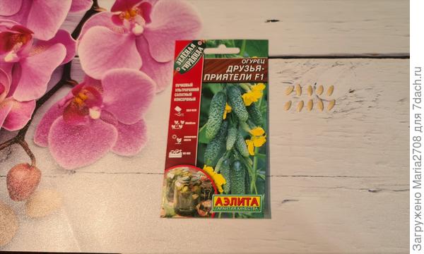 Друзья-приятели