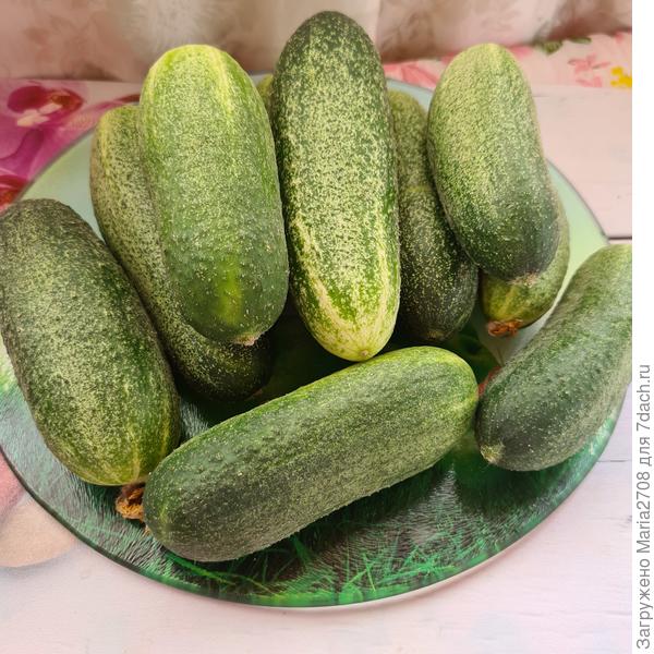 Огурчики