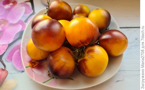 Очень красивые томаты