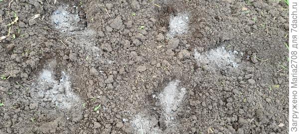 Подготовка