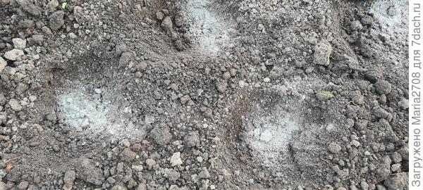 Подготовка