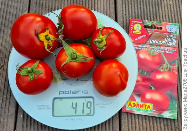 Первый сбор