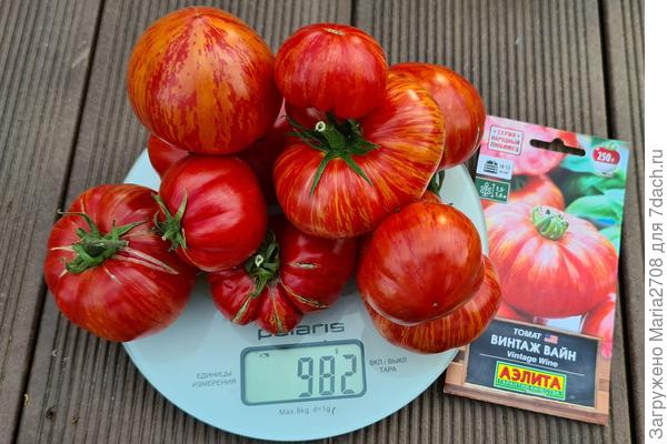 Первый сбор