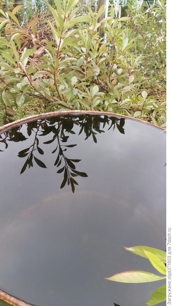 Опрокинулось небо  . . .