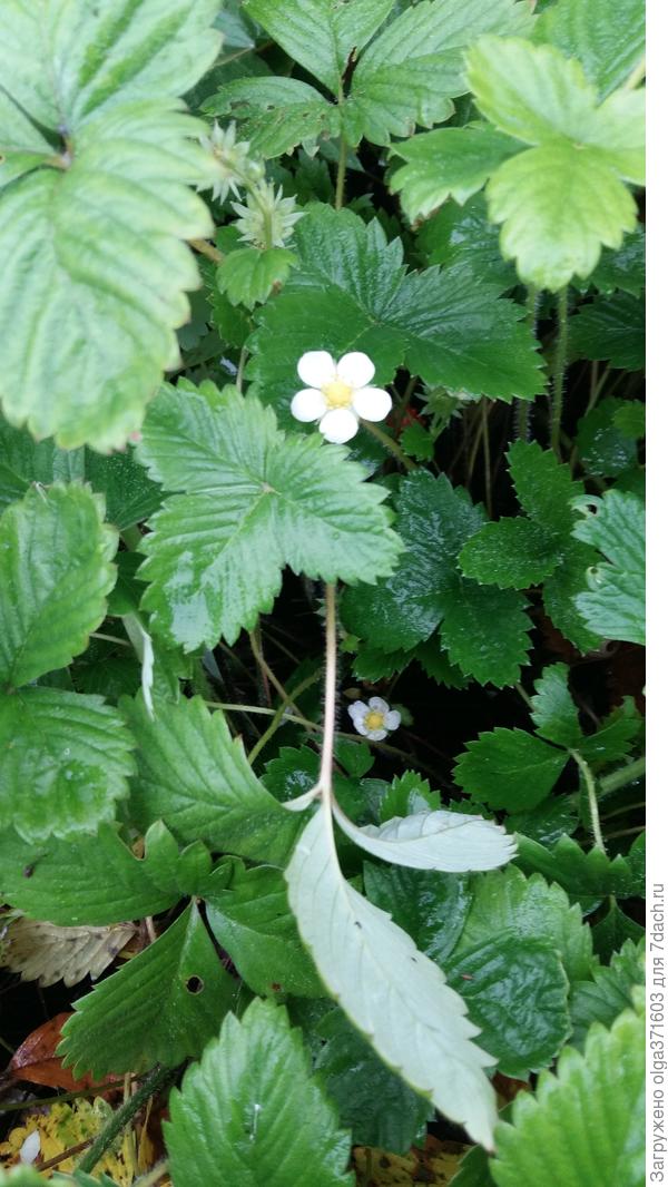 Ну кто скажет, что уже октябрь