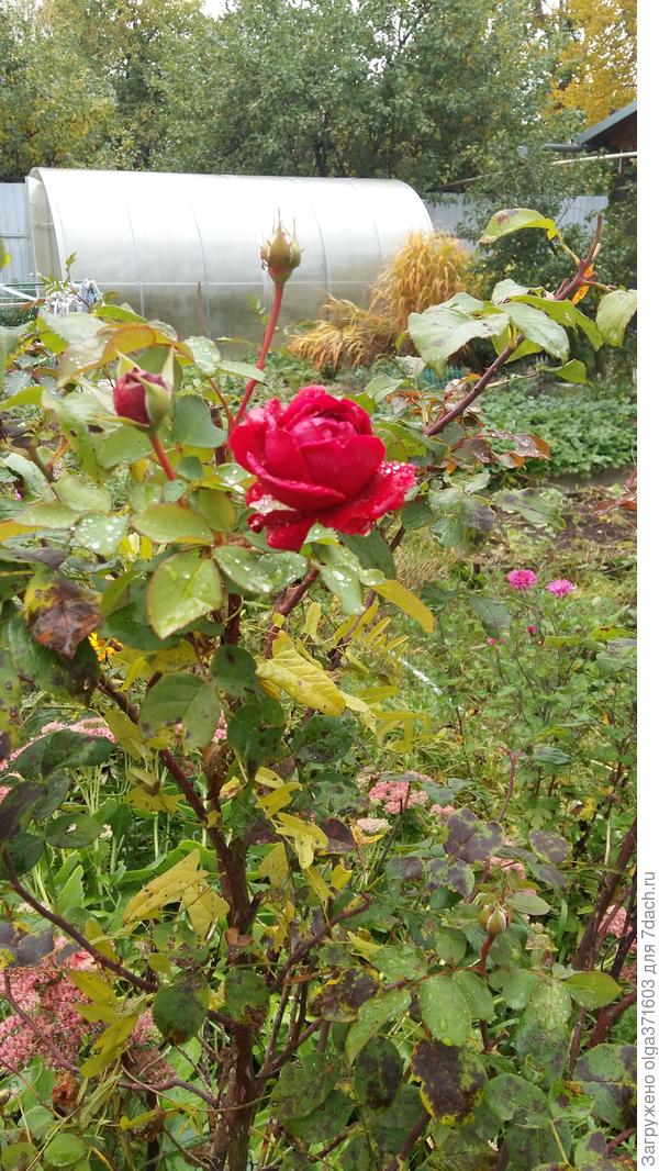 Кто сказал, что впереди зима