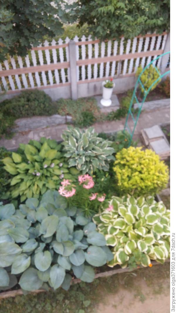 Цветник перед домом.