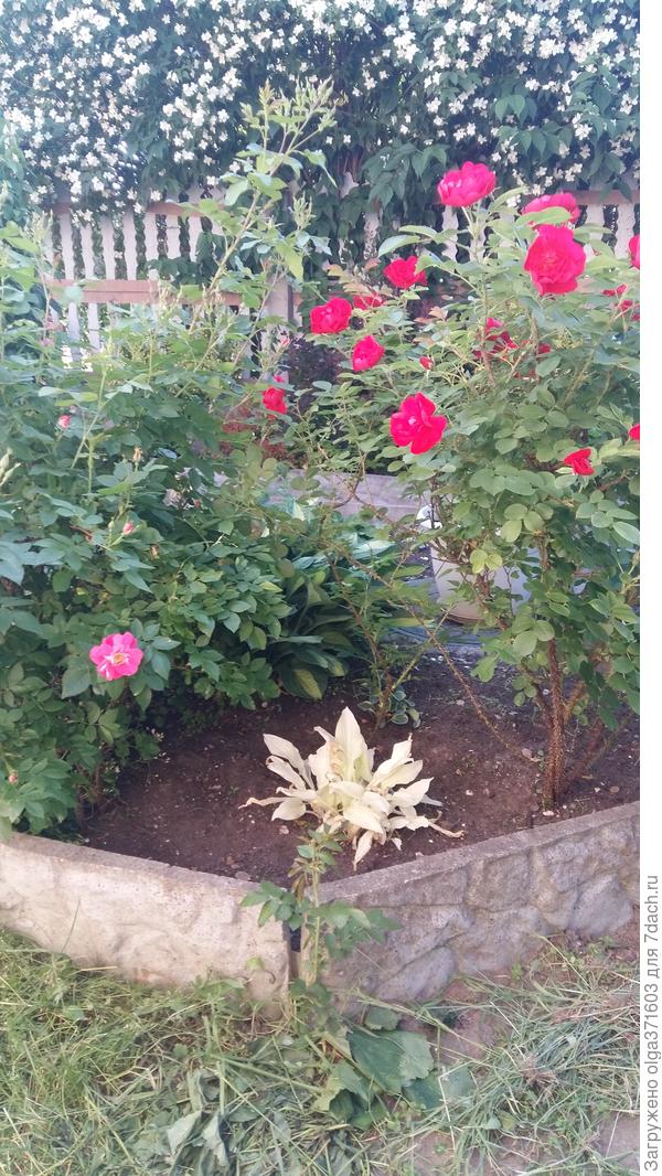 Через некоторое время она станет зеленой