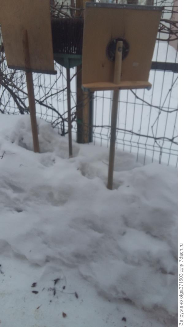 Кругом одни лопаты...