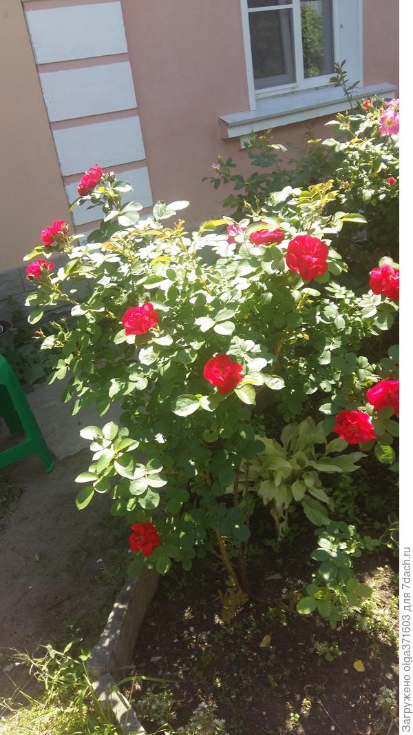 Больше теплых солнечных дней!