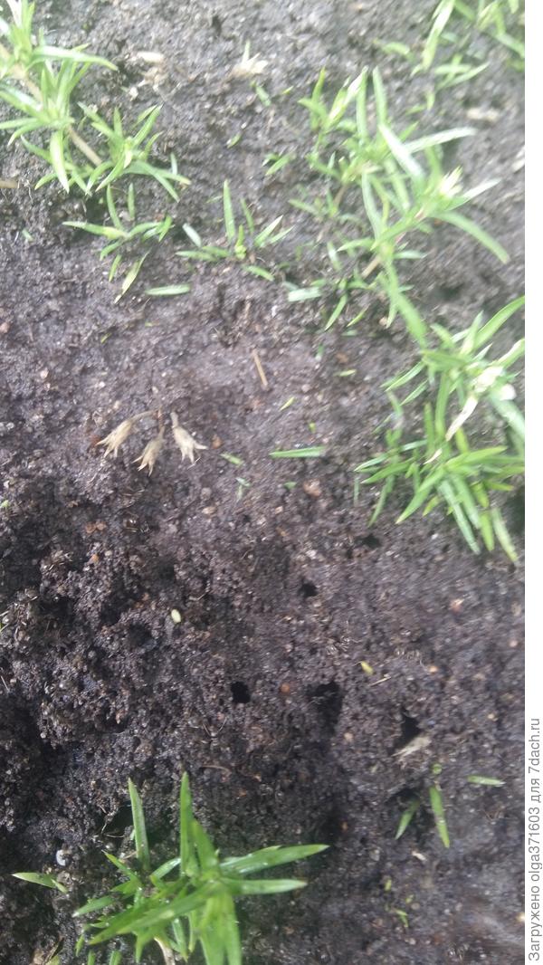 Вот так это выглядит теперь