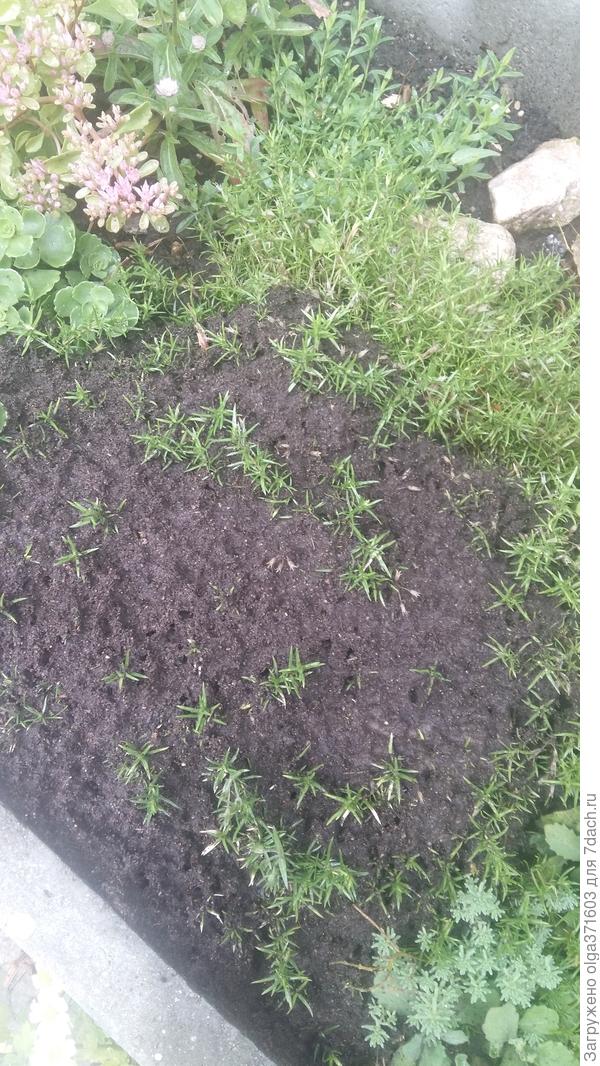 Теперь уже не половина, а большая часть пострадала