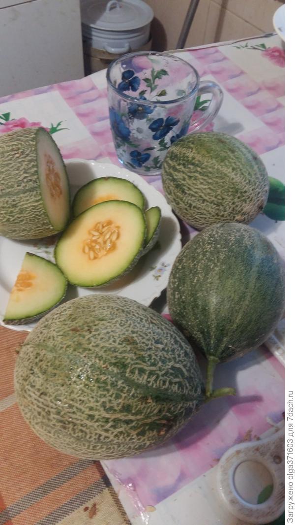 А все-таки они выросли!