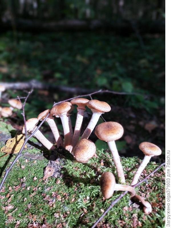 На солнышке