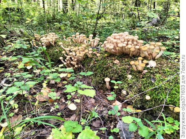 Вот оно счастье!