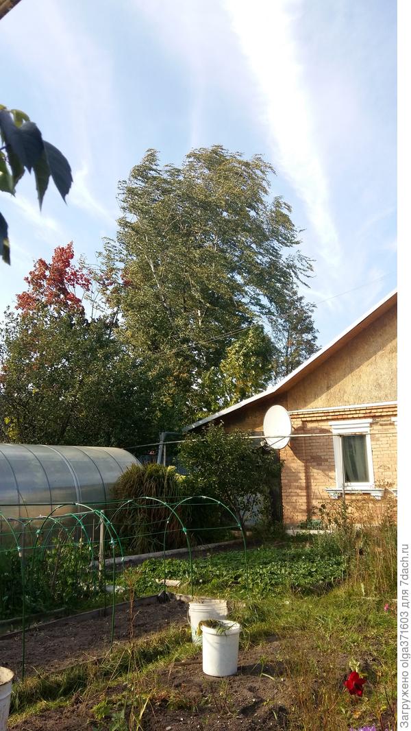 Ветреный день