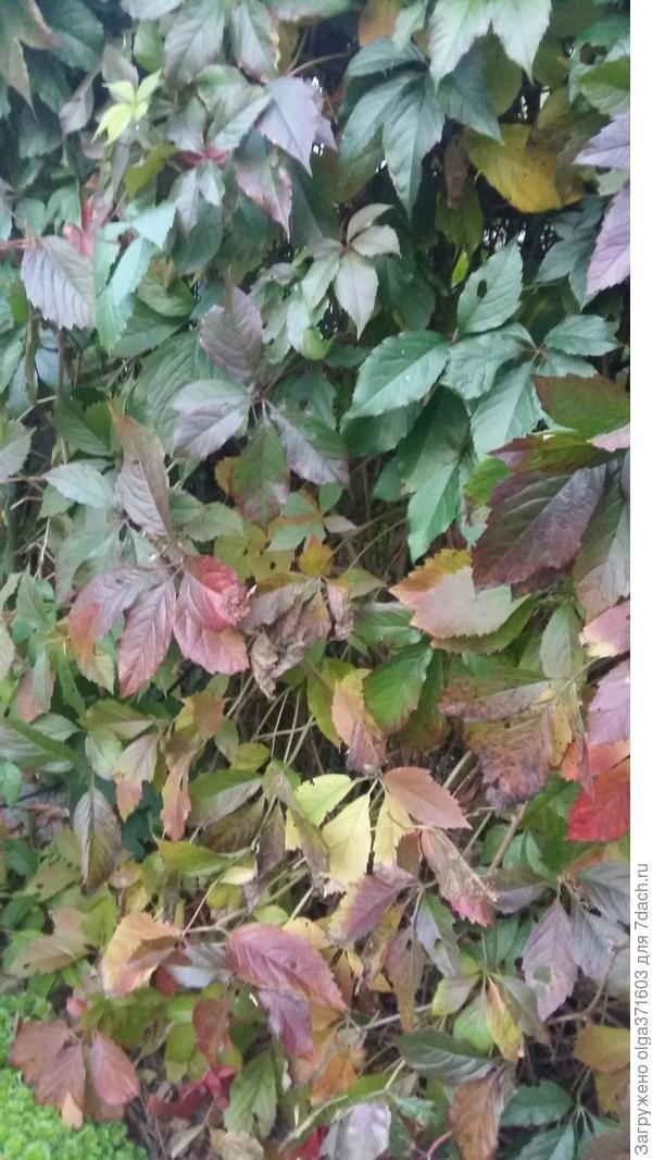 И в этом есть своя прелесть