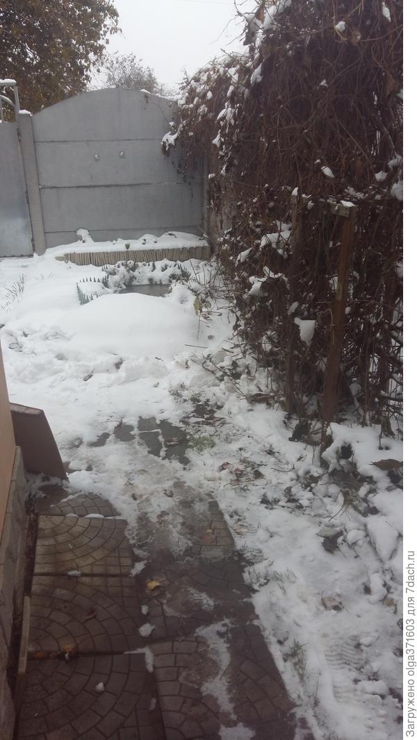 Вид с крыльца. Дорожка с калитке расчищена.