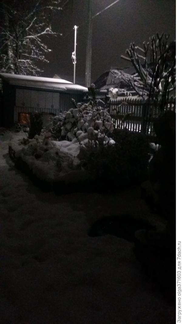 Почти гравюра...