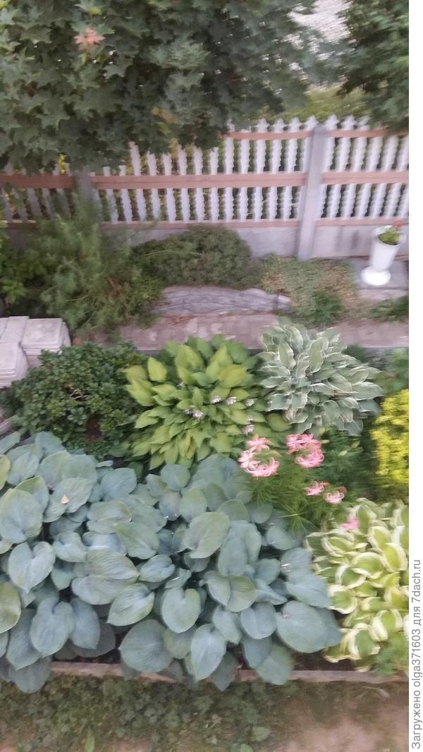 Внутренняя сторона забора