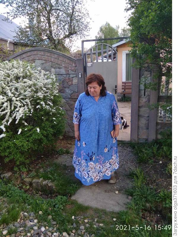 На заднем плане виден кусочек покрашенного забора, сейчас почти весь закрыт спиреей.