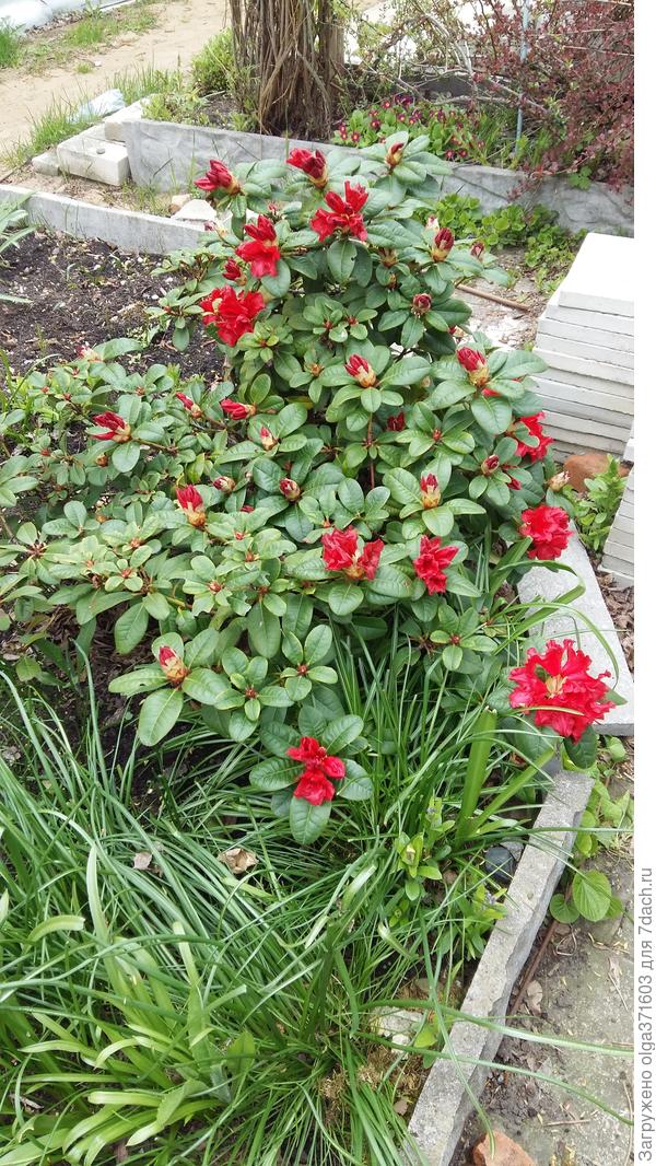 Фото, наверное, сделано года два назад.