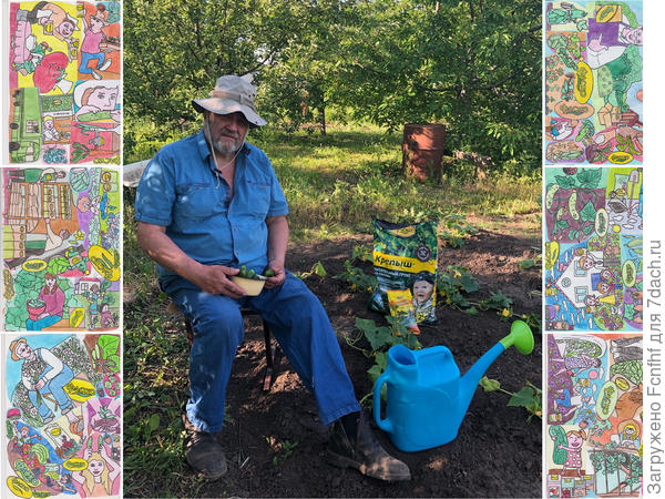 Старые кони борозду не портят