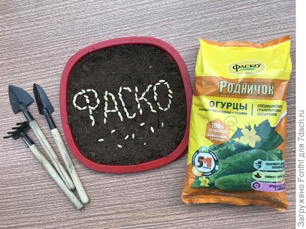 Приятного тебе аппетита, огурец!