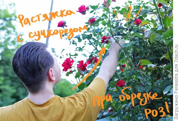 Упражнения с секатором!
