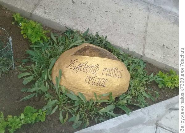 Из застывшей цементной плюхи, мы придумали сделать большой кошелёк на молнии с деньгами. Получилось не плохо.