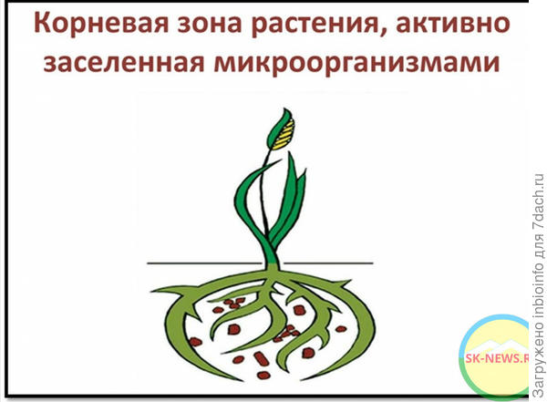 Общая схема