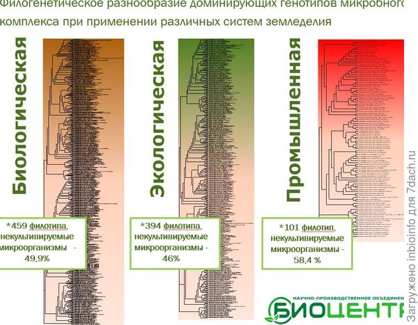 Сокращение видового состава почвенных микроорганизмов, в зависимости от различных подходов в земледелии