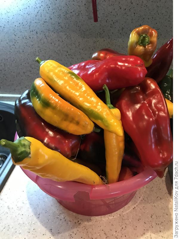 Чтоб не подумали, что я безрукая)