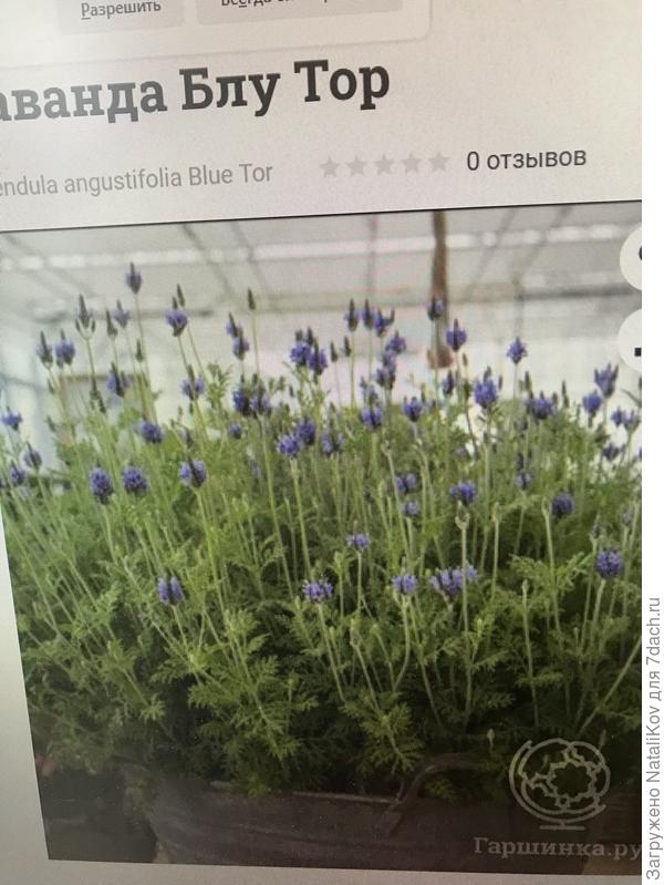 Такая и есть