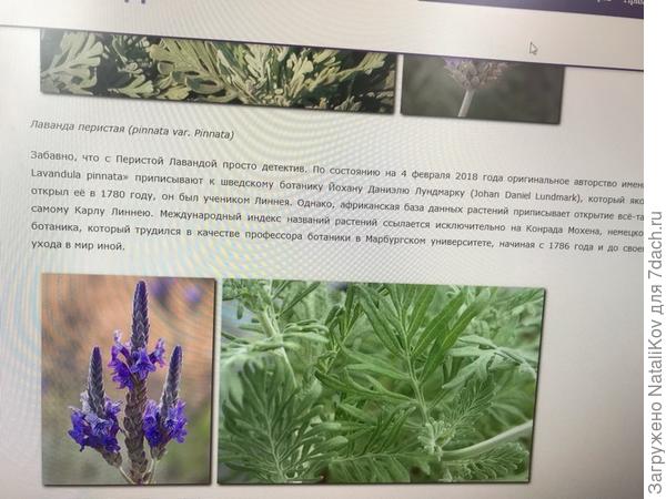 Разве не похожа?