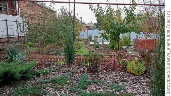 Видно, что что-то зелено, а справа ветки дерева уже лысые. Суховей подул, часть деревьев просто облетела.