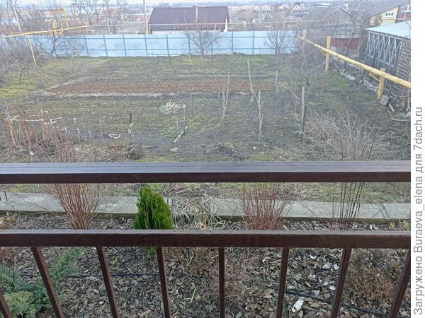 Фрагмент Цветника у крыльца. Вид, собственно с крыльца. Которое мы называем "балконом"