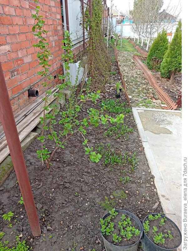 Поворачиваемся на 180 градусов и идем в сторону ворот... Верхний недоцветник