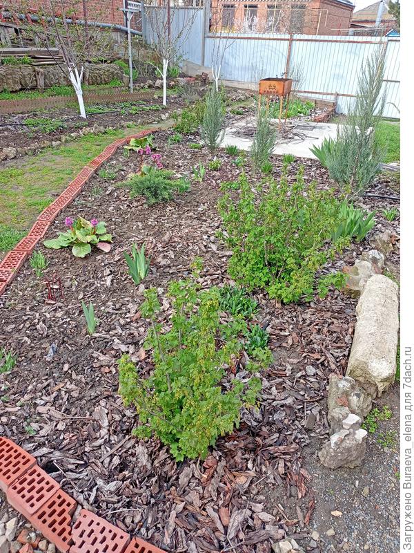 Выходим с патио. Вид налево