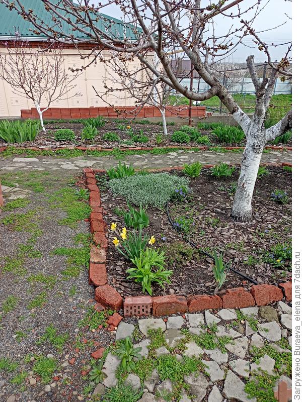 Выход с патио - вид на право