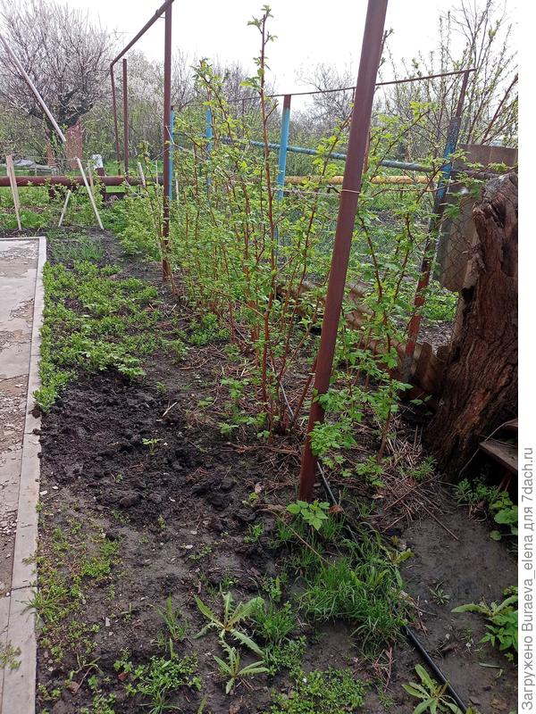 Между нашим домом и верхними соседями (теми, чей дом к нам может переехать...)