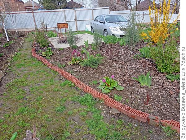 Вид с пенька на полутреугольный цветник