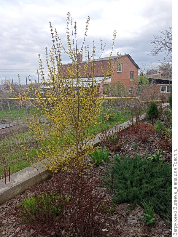 В дождливую погоду