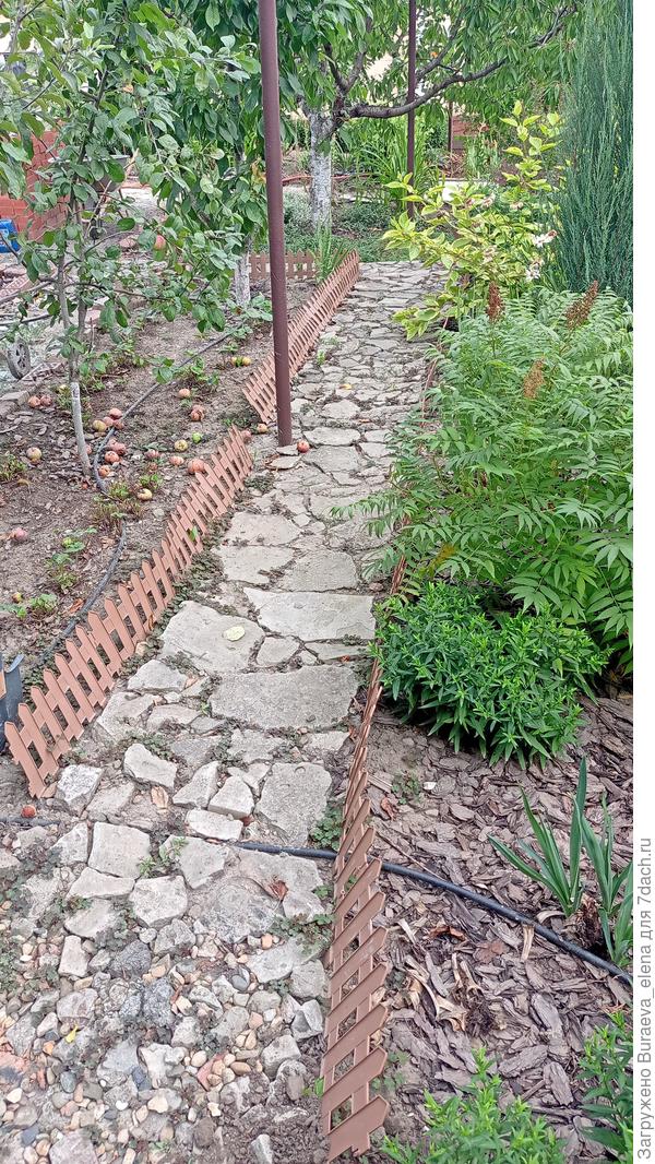 Это дорожка выходит на центральную... Раньше она мне казалась прекрасной... Теперь - кривой и корявой