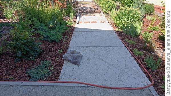 Облагораживание дорожки