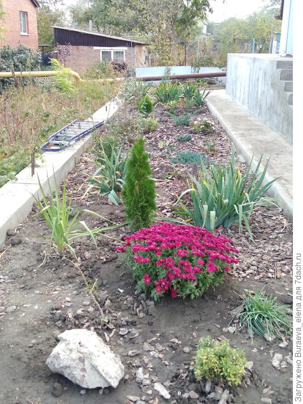 18 октября 2020 года. Пока так. Посадила хризантемки, купленные у бабушек на рынке.