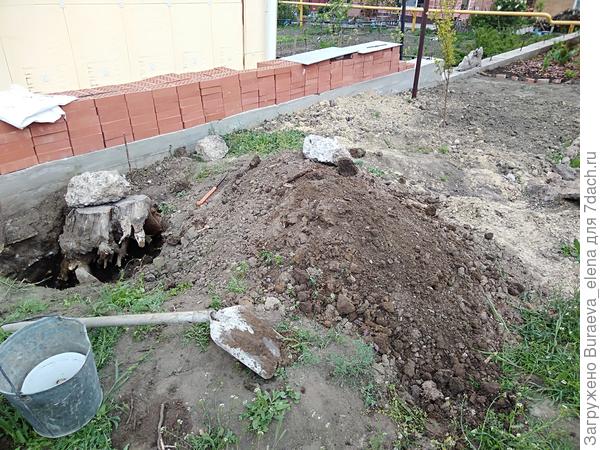 Май 2020 года. Корчуем пни на месте будущего продолжения Цветника у крыльца.
