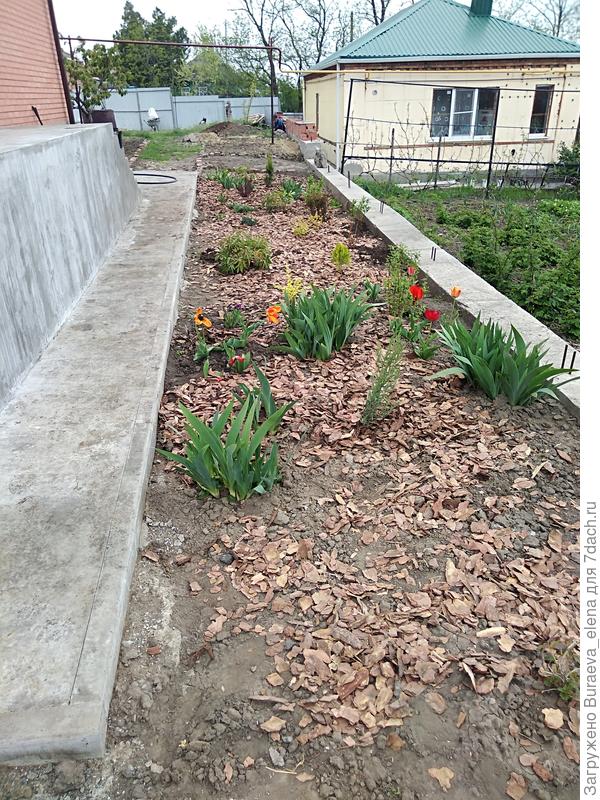 03 мая 2020 года - вид в обратную сторону